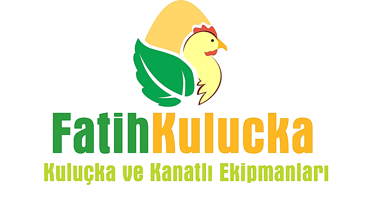 logobüyük